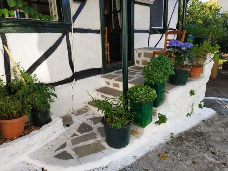 Lefkada Villas Panoramic Katouna Eksteriør billede
